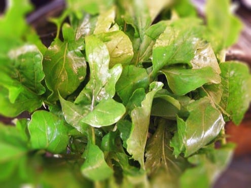 Arugula and Fresh Mozzarella Salad 