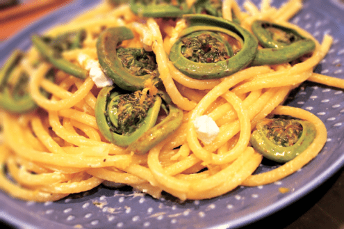 Creamy Sauteed Fiddleheads over Bucatini