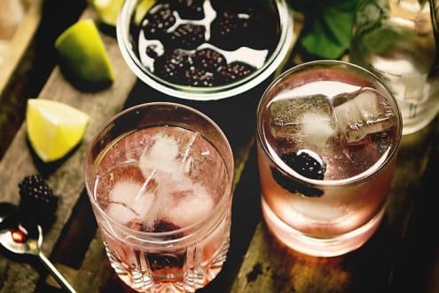 Pickled-Berry Gin and Tonic