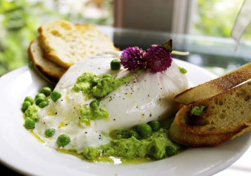 Burrata with Minty Pea Pesto Bruschetta