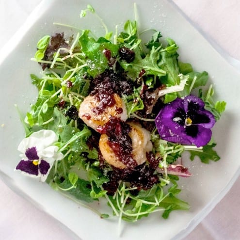 Seared Scallops With Blueberry Vinaigrette and Pea Shoots