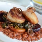 Seared Scallops with Barley Risotto and Beets recipe