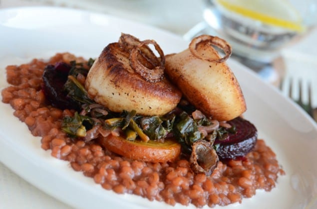 Seared Scallops with Barley Risotto and Beets recipe