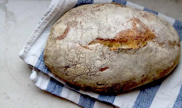 sourdough