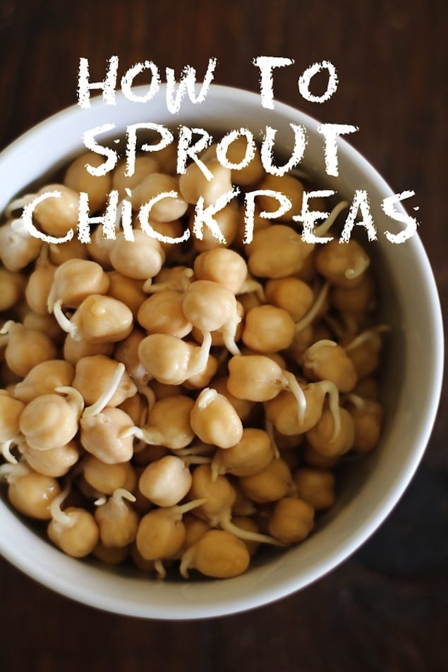 how_to_sprout_chickpeas_hero