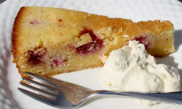 Nigella's Lemon Polenta Cake Made in a Slow Cooker