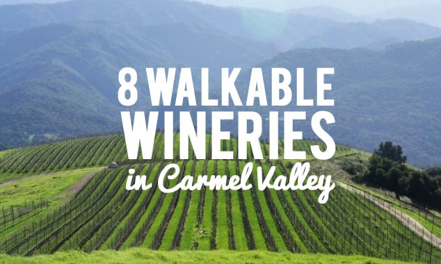 Carmel Region Wine Tour, Day Tours, Tours