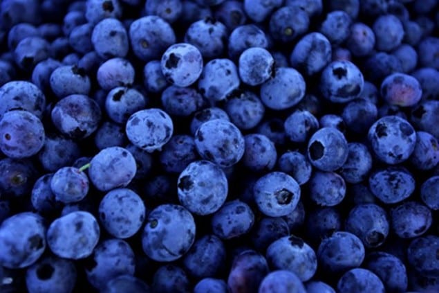 blueberries