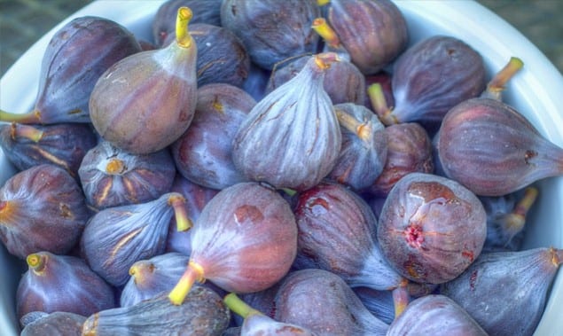 figs 1