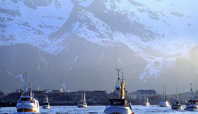 Norwegian-Seafood-Council