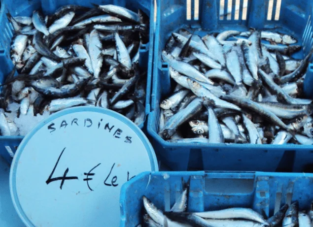 Get Your Fish On The Bustling French Market of Marseille