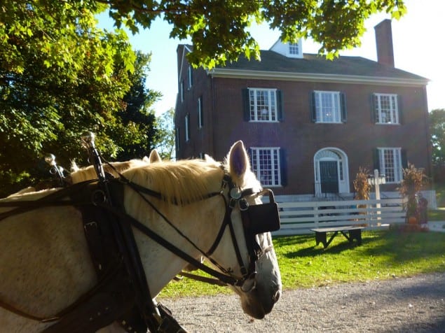 HC carriage ride