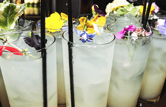 Refreshing Rhubarb Sour Fizz Cocktail Stock Photo - Image of food