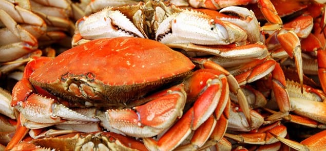 area-info-dungeness-crab-03