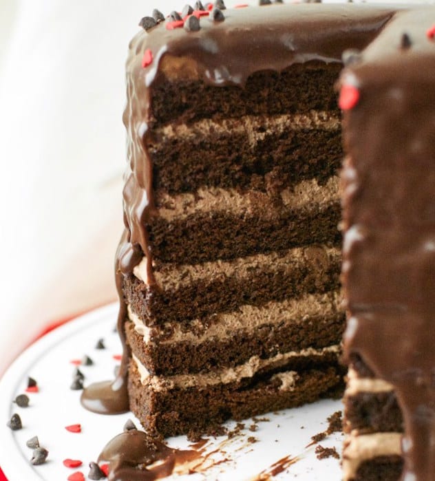 Best Chocolate-on-Chocolate Three-Layer Cake Recipe | Christopher Kimball's  Milk Street