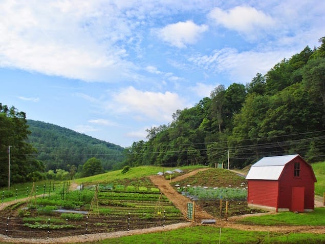 Kelly Way Garden