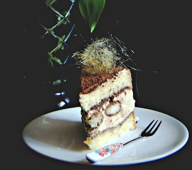 dulce-de-leche-tiramisu-cake-1-9b-565x1024