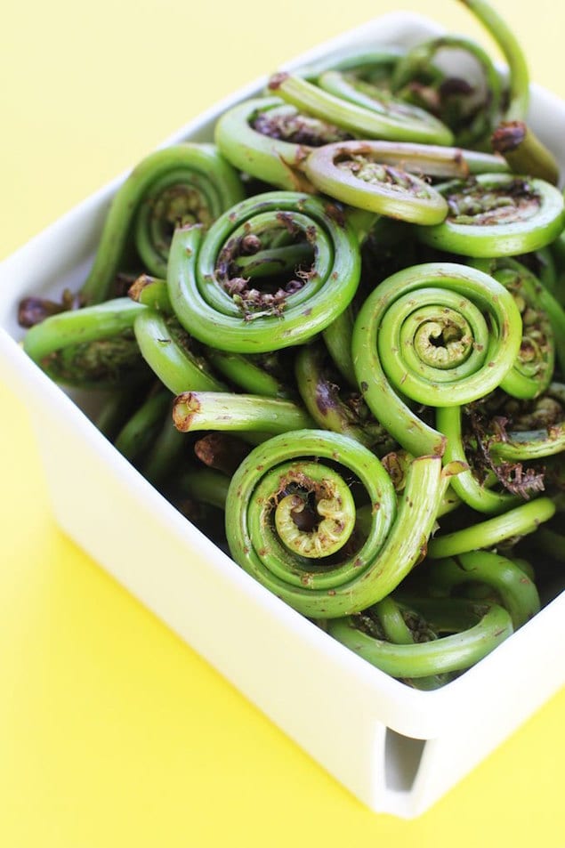 fiddlehead-ferns-recipe-1