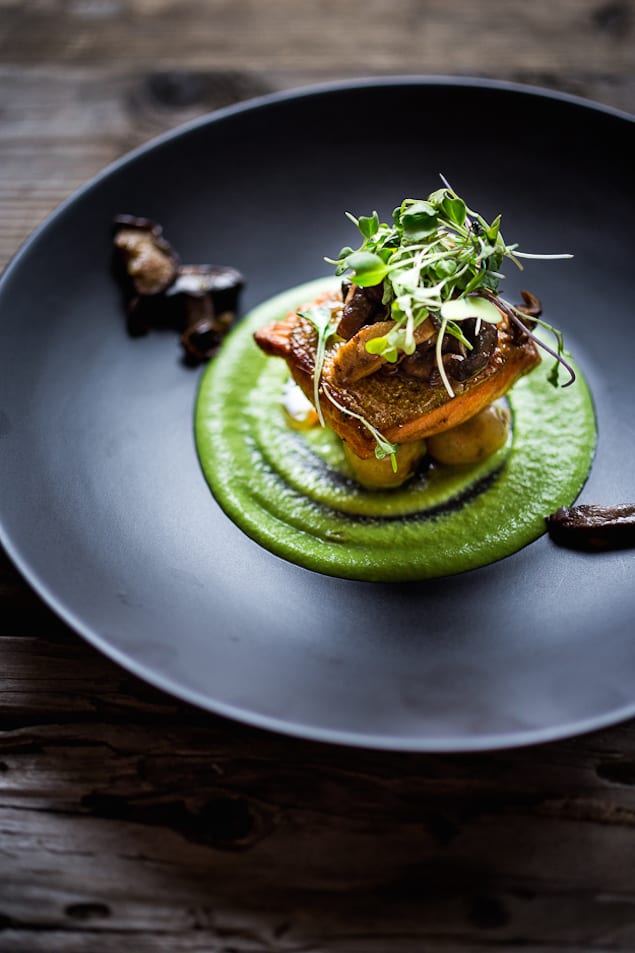 steelhead with pea sauce-218