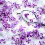 How to Make Lilac Sugar