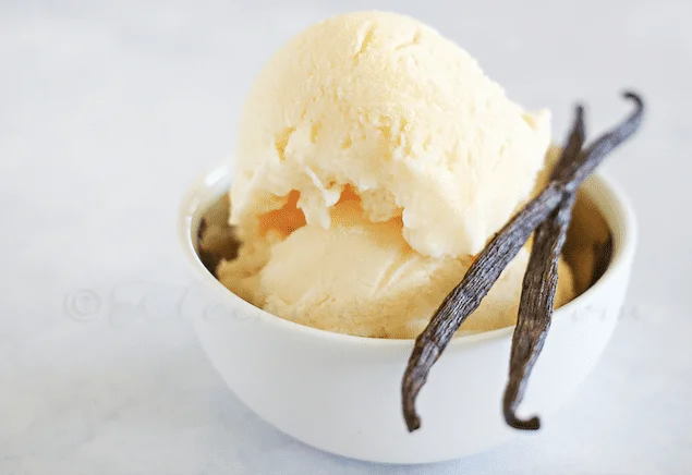 Easy Vanilla Frozen Yogurt