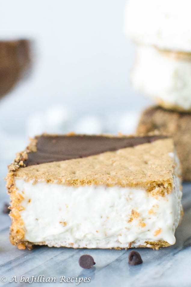 Irresistible S’more Ice Cream Sandwiches  