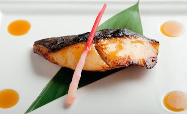 setheight300-black-cod-miso