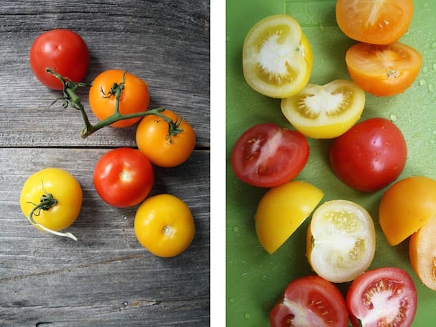 Grilled Summer Tomato Pasta Salad