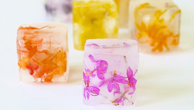 2014-05-19-flower-ice-cubes-hero-680x384