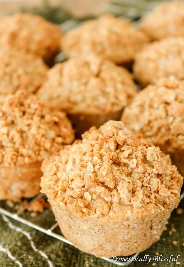 Apple Cinnamon Streusel Muffins