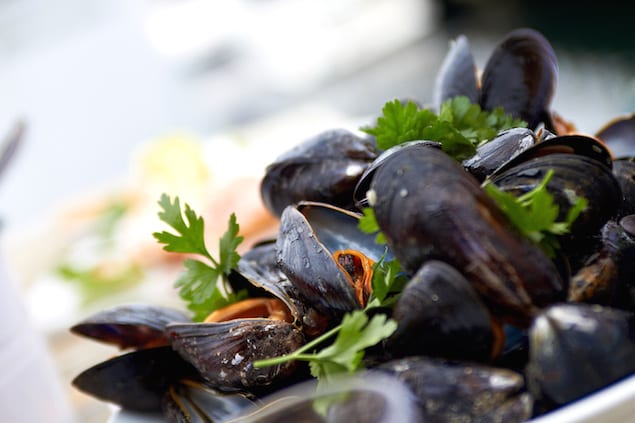 Oysters and mussel safari Lysekil - Foto Jonas Ingman