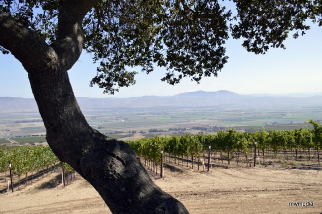 View From SLH AVA into Salinas Valley. Image: MWinner