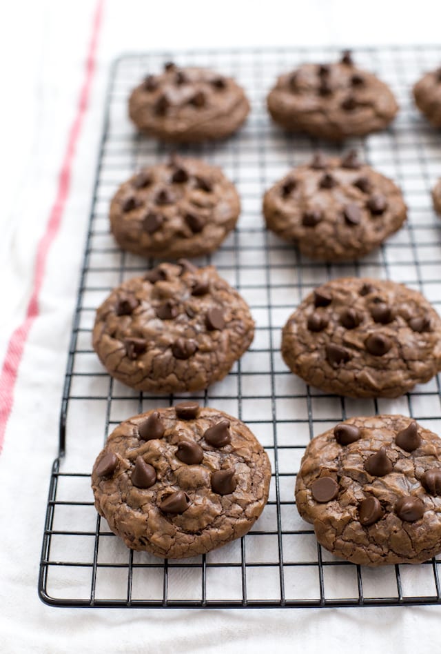 Chewy Chocolate Cookies