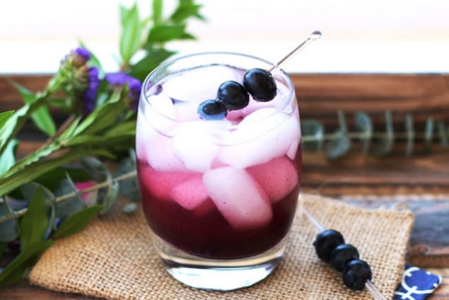 Blueberry-Shrub-1_WEB2