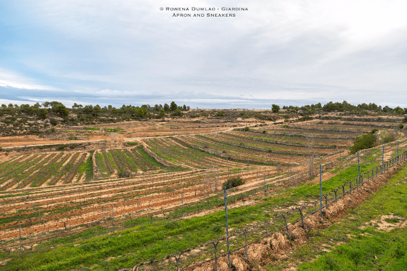 Les Garrigues: Exploring the Gastronomic Corner of Catalonia, Spain