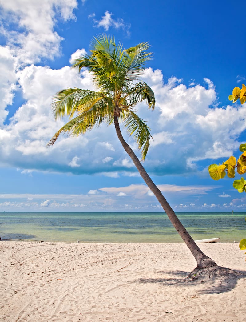 Catching and Cooking the Best Seafood of Key West