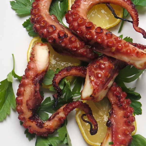 octopus recipe