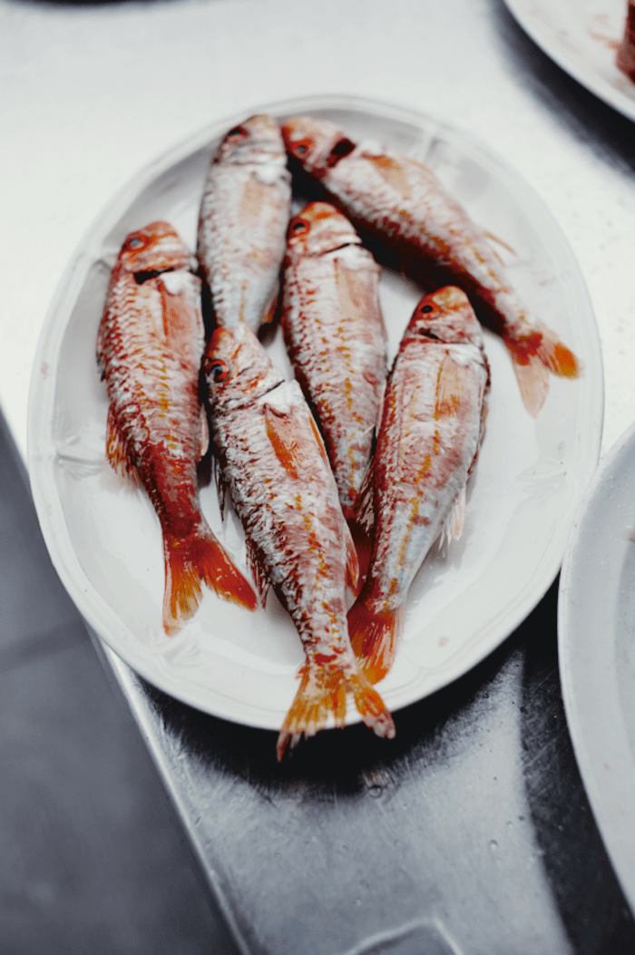 The Flavors of Basque Cooking