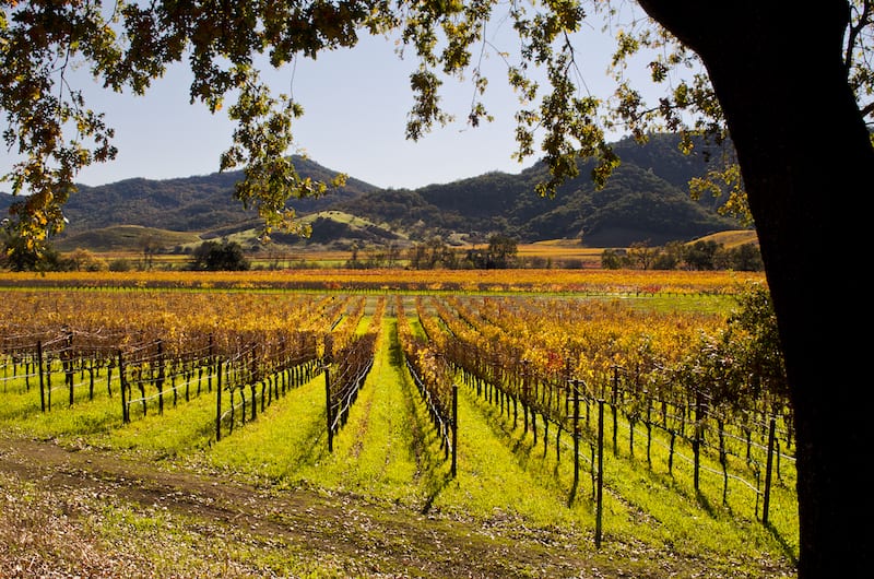 Generations of Wine in Napa Valley