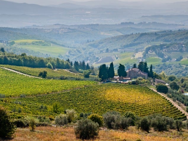 An Educational and Delicious Tuscan Vacation