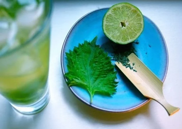 Boozy Punch Bowls for Memorial Day