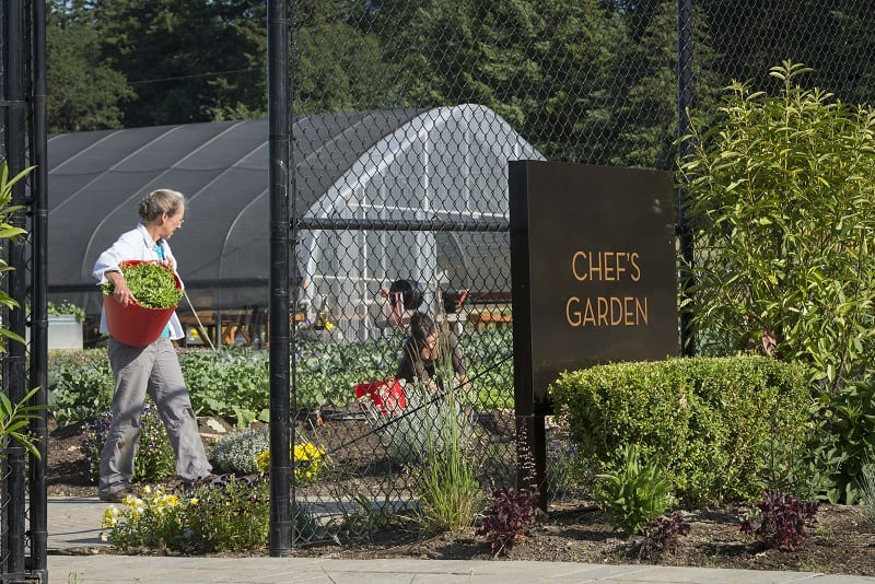 Chef's Garden, Allison Inn & Spa, Willamette Valley, Oregon