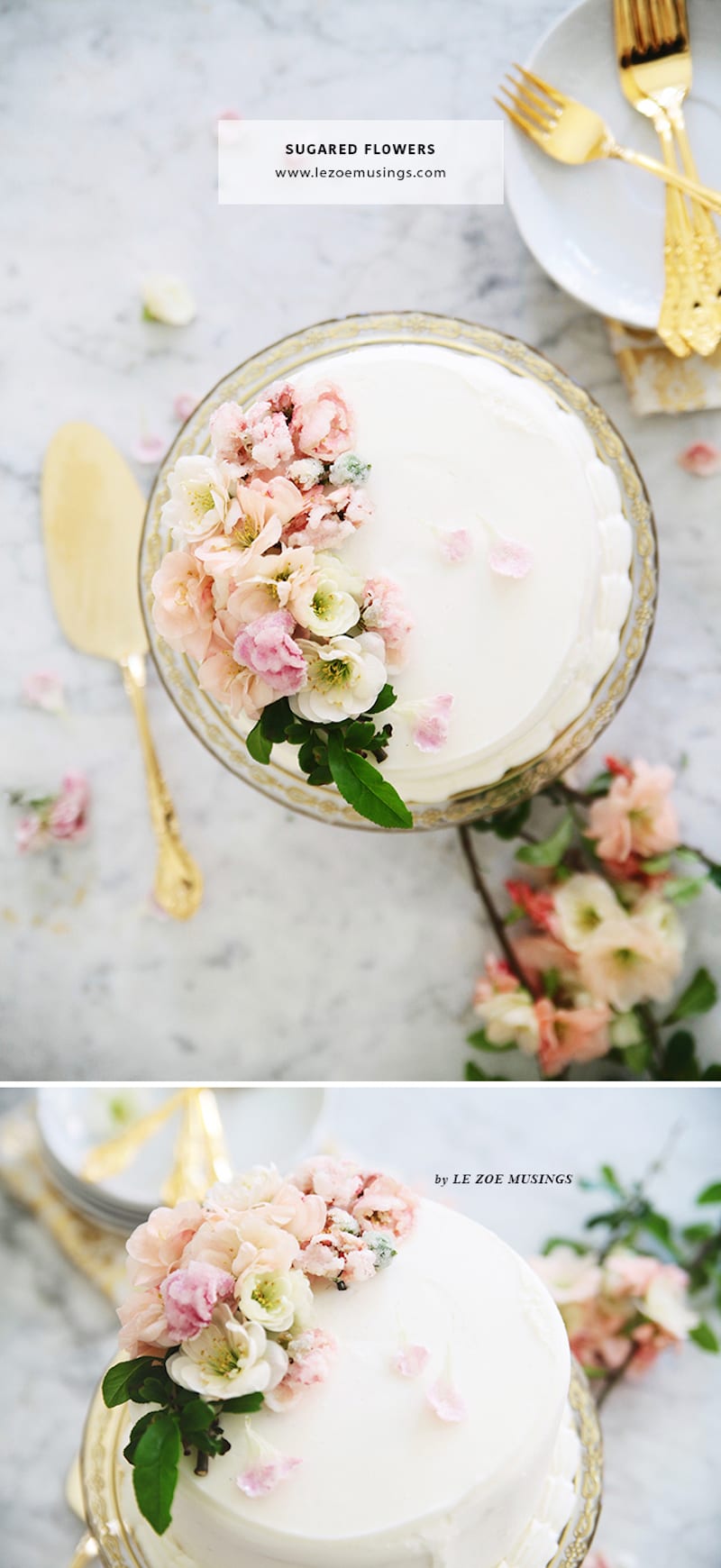 Edible Sugared Flowers