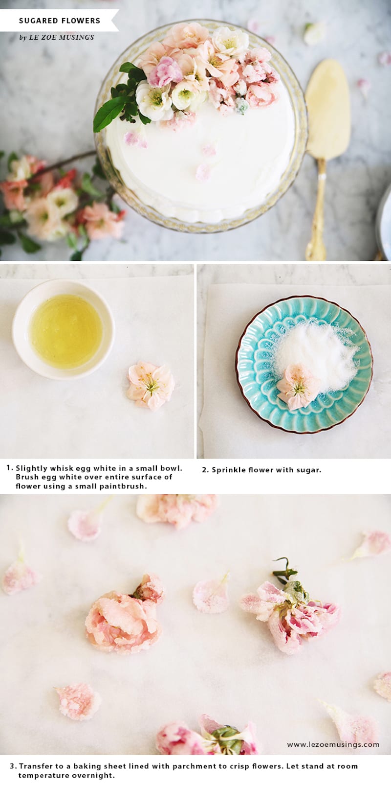 How to Make Easy Edible Sugared Flowers