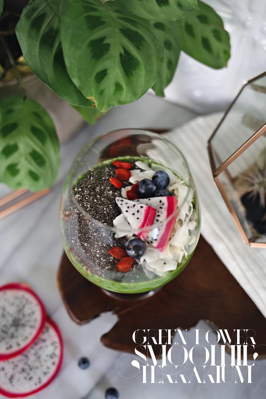 Terrarium Green Smoothie