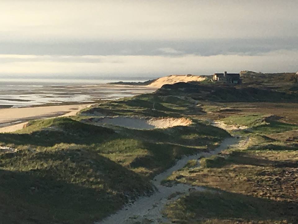 An Oyster Adventure in Harwich, Massachusetts