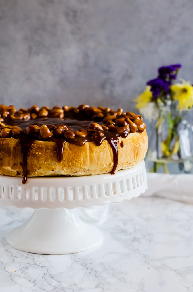 Salted Caramel and Cashew Cheesecake