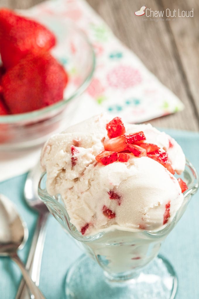 Dairy-Free Almond and Coconut Ice Cream