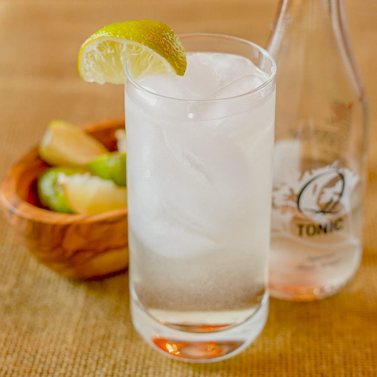 Elderflower Gin and Tonic