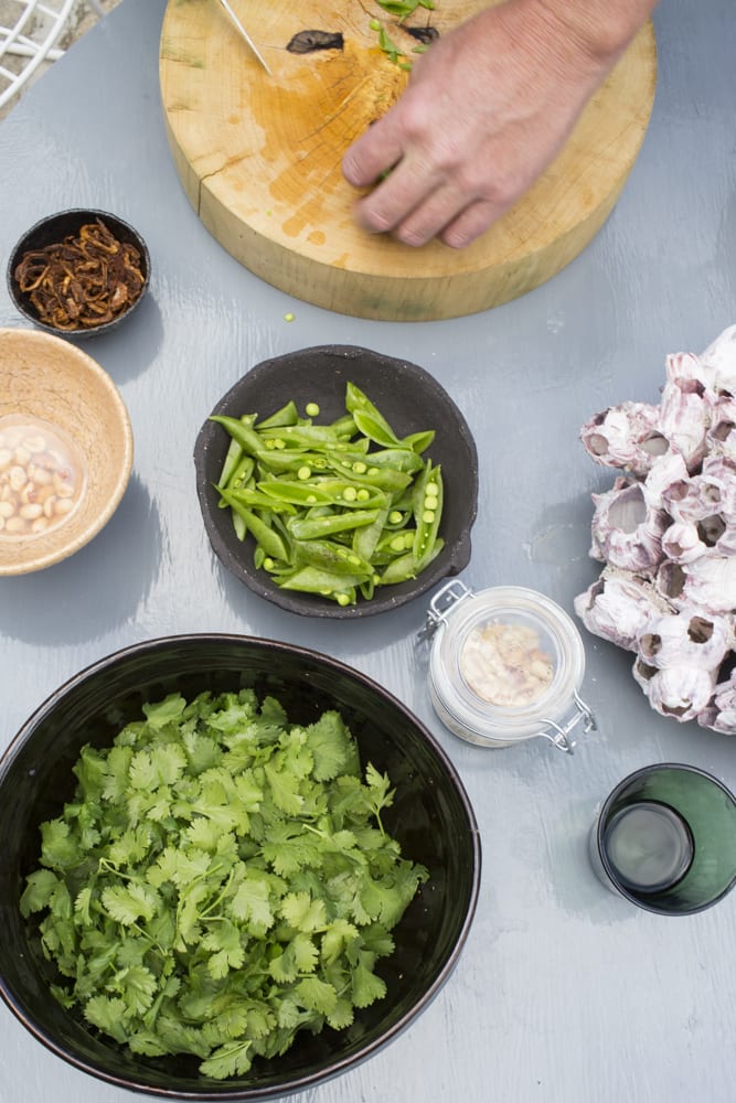 Cilantro and Snap Pea Salad with Peanuts and Fried Shallots